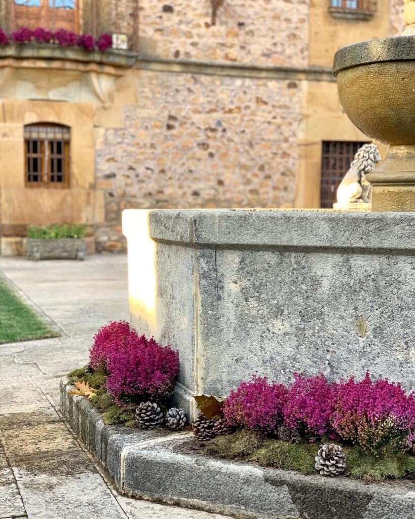 Patio de la fuente preparado para el aperitivo